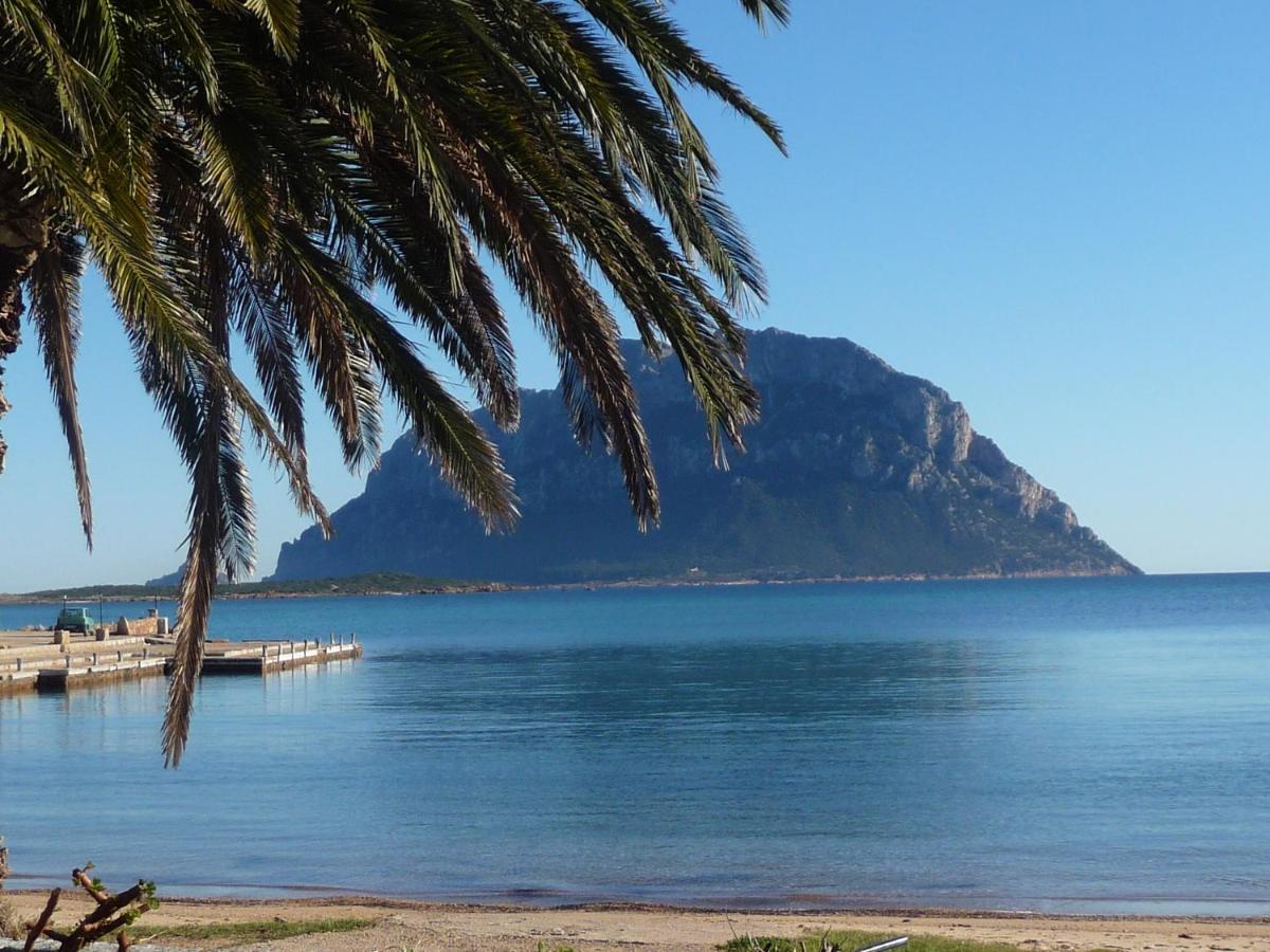 Frina Di Mari B&B San Teodoro  Εξωτερικό φωτογραφία