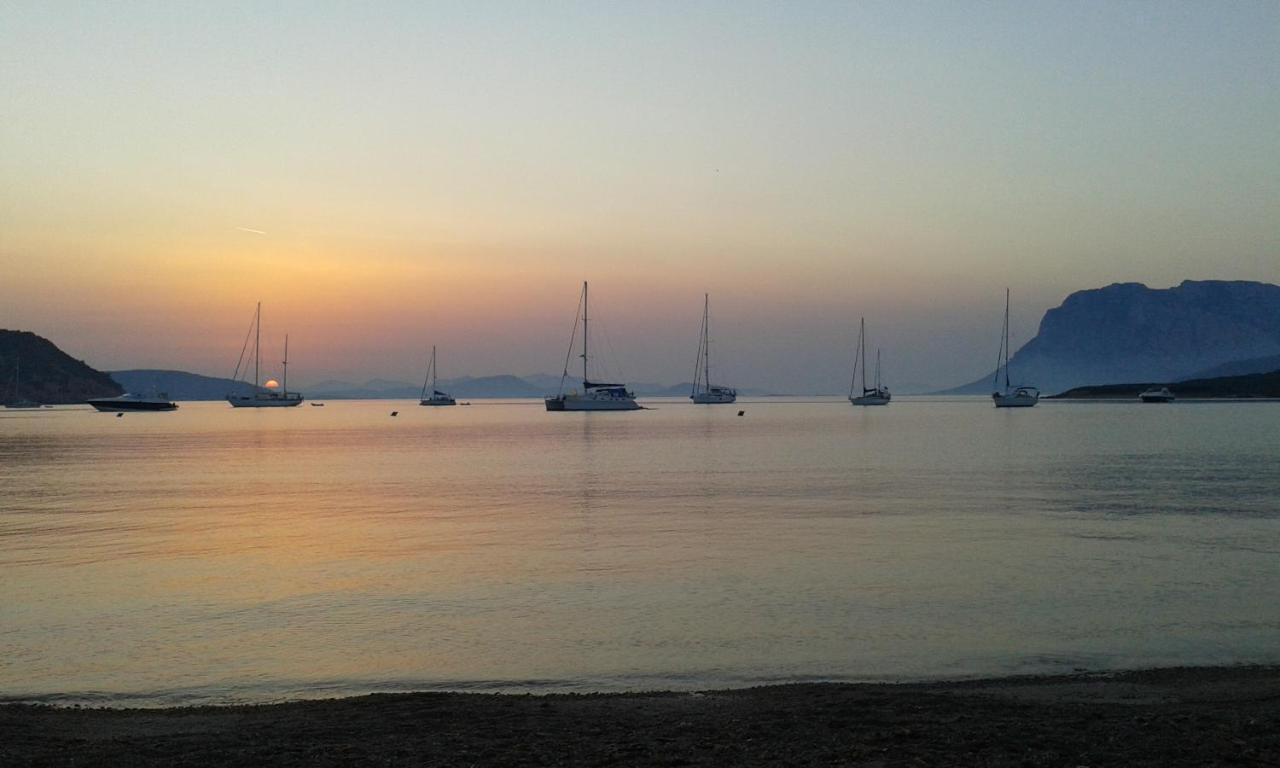 Frina Di Mari B&B San Teodoro  Εξωτερικό φωτογραφία