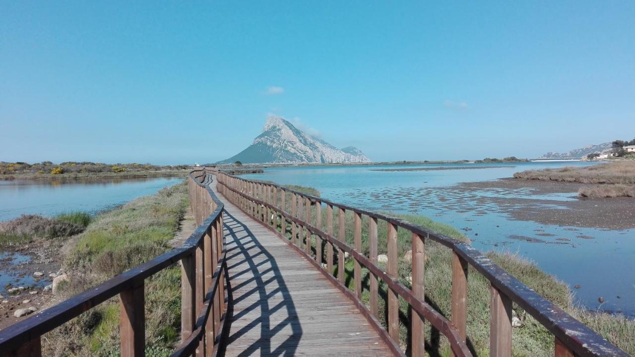Frina Di Mari B&B San Teodoro  Εξωτερικό φωτογραφία