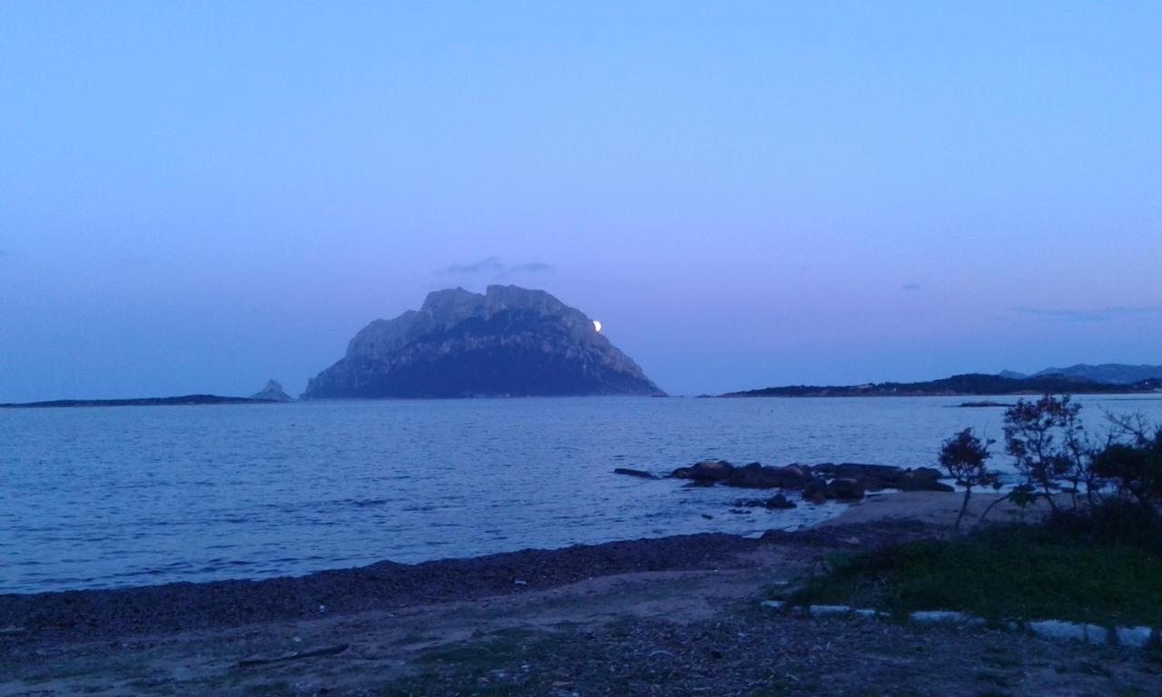 Frina Di Mari B&B San Teodoro  Εξωτερικό φωτογραφία