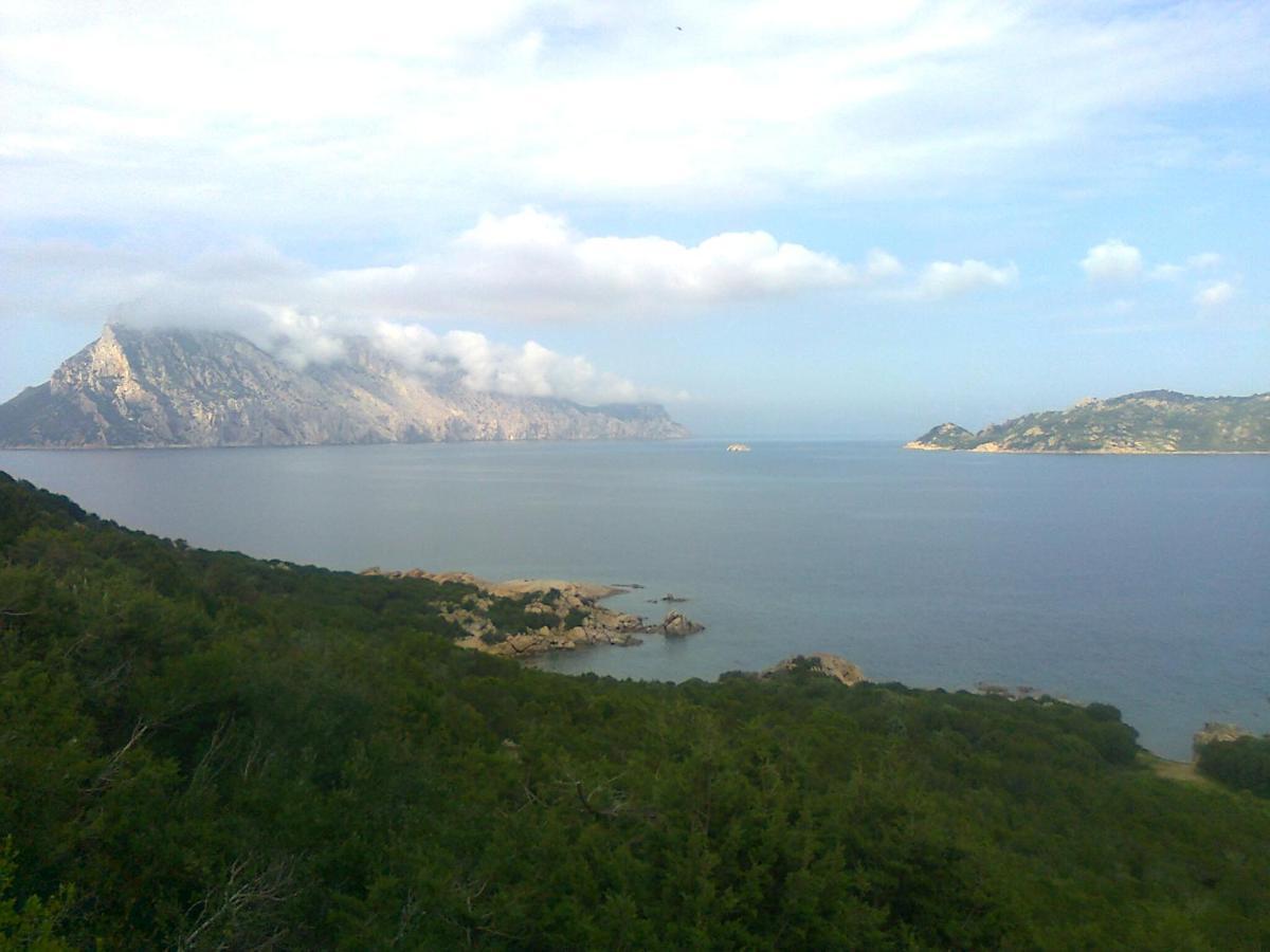 Frina Di Mari B&B San Teodoro  Εξωτερικό φωτογραφία