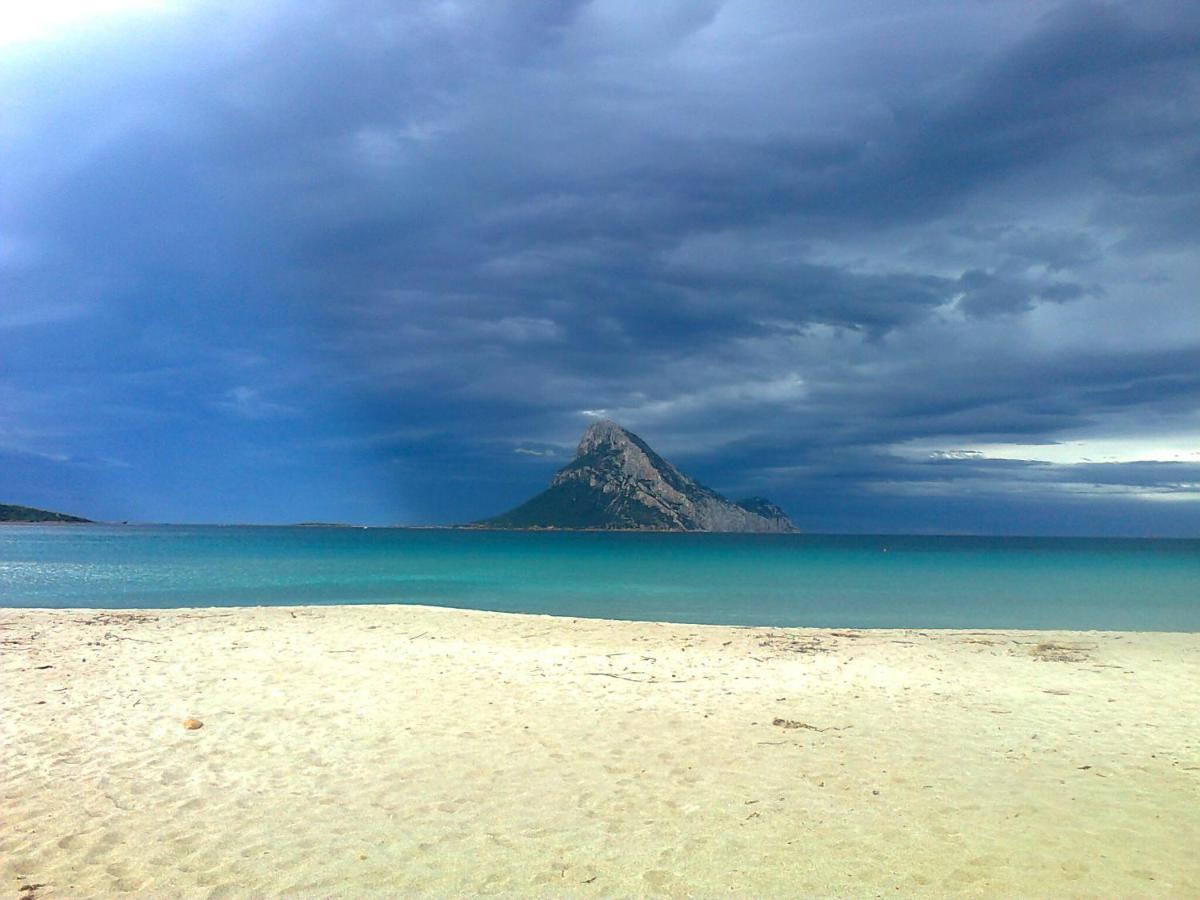 Frina Di Mari B&B San Teodoro  Εξωτερικό φωτογραφία