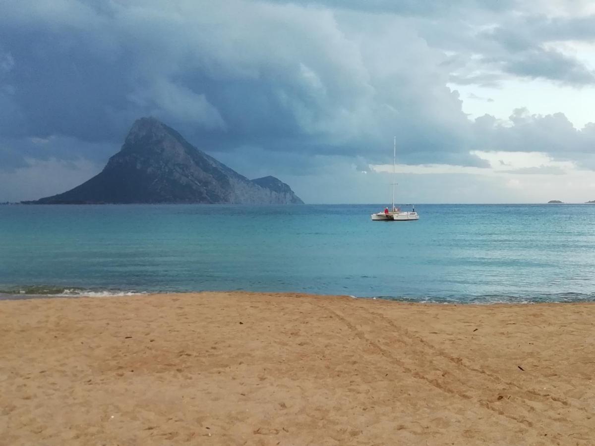 Frina Di Mari B&B San Teodoro  Εξωτερικό φωτογραφία