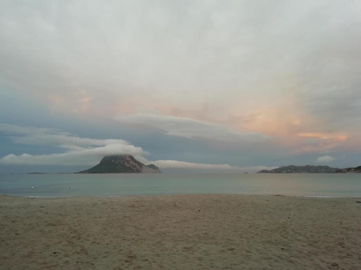 Frina Di Mari B&B San Teodoro  Εξωτερικό φωτογραφία