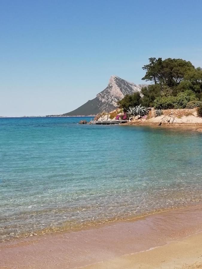 Frina Di Mari B&B San Teodoro  Εξωτερικό φωτογραφία